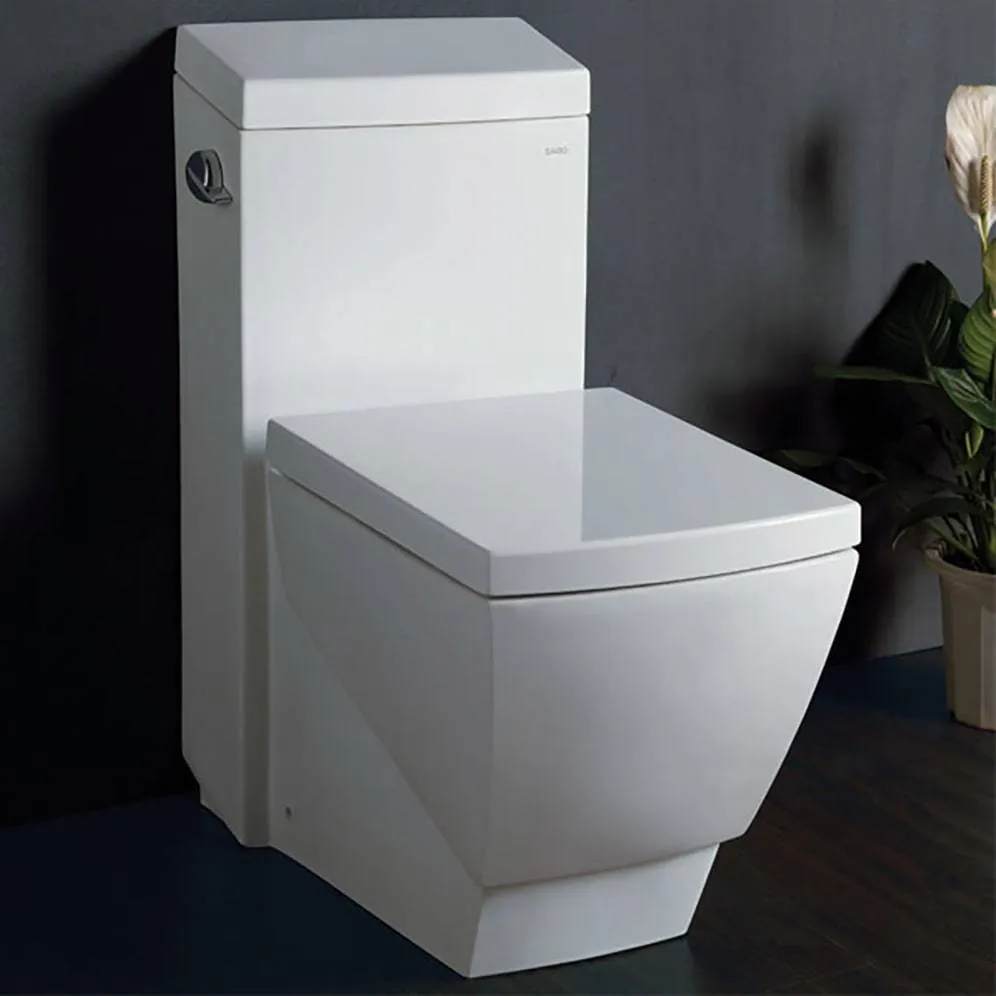 Eago TB336 One Piece High Efficiency Low Flush Eco-Friendly Ceramic Toilet